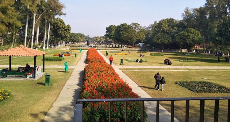 Terraced Garden